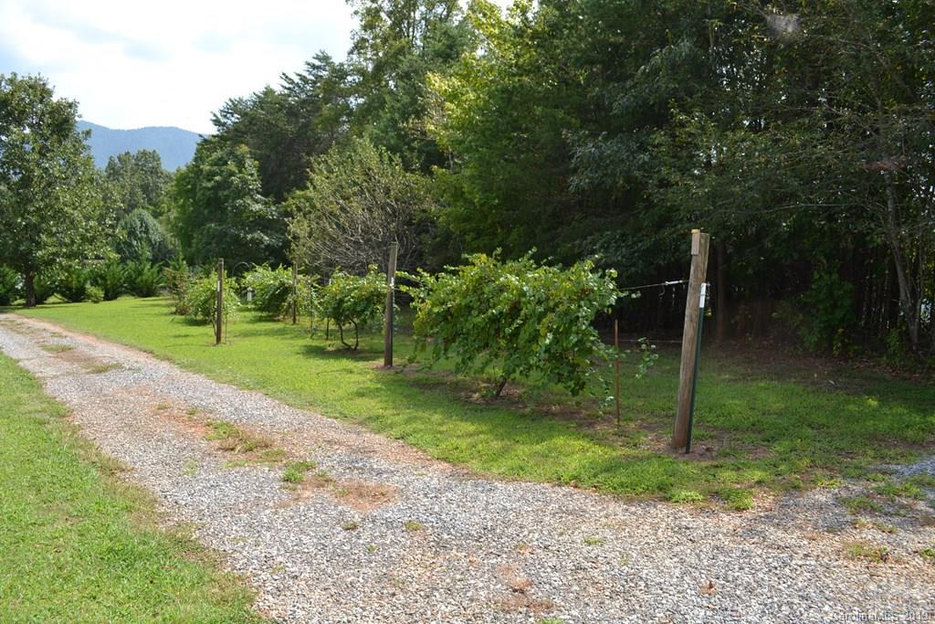 5668 Hayes Waters Road Morganton, NC 28655 - Photo 44 of 46 Gallery Image 44