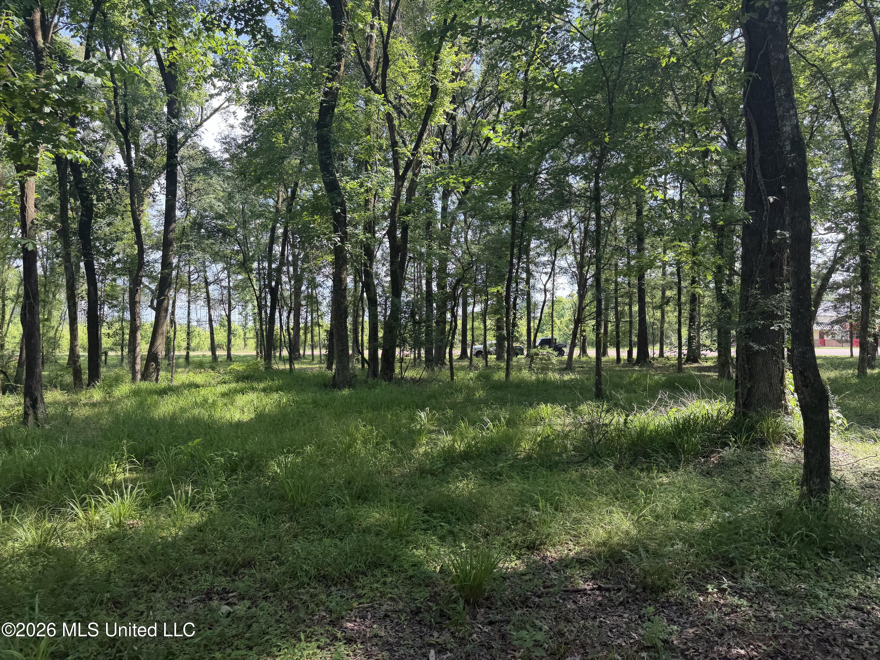 512 Ratliff Ferry Road Canton, MS 39046 - Photo 21 of 42 Photo Jun 02 2026, 3 54 19 PM