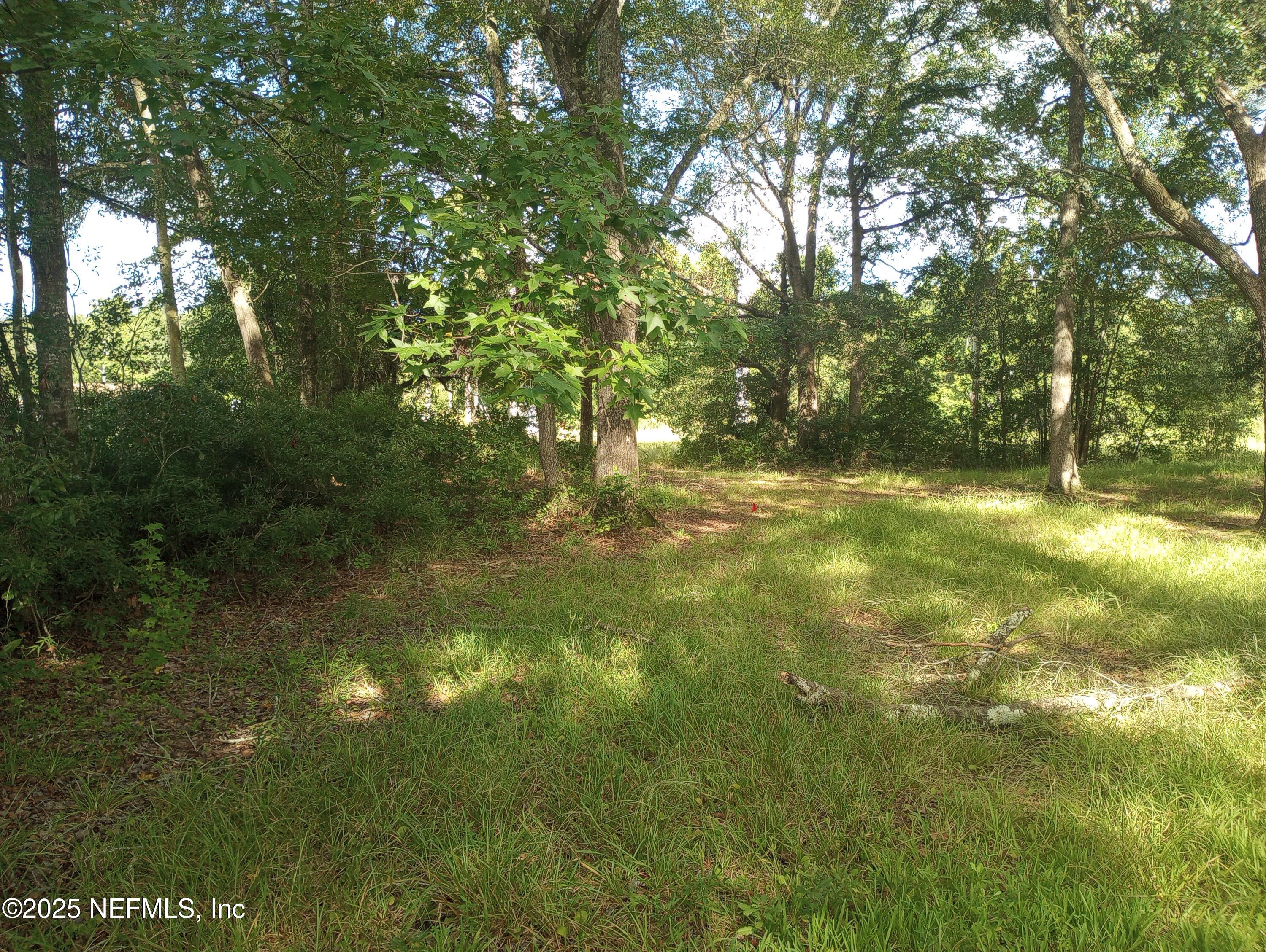 7835 Sycamore Street Jacksonville, FL 32219 - Photo 2 of 2 a view of yard
