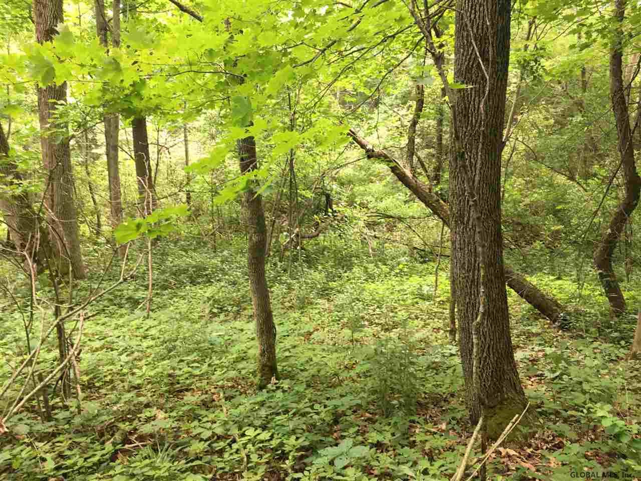 0 Bozenkill Road Delanson, NY 12053 - Photo 17 of 23 Photo 17