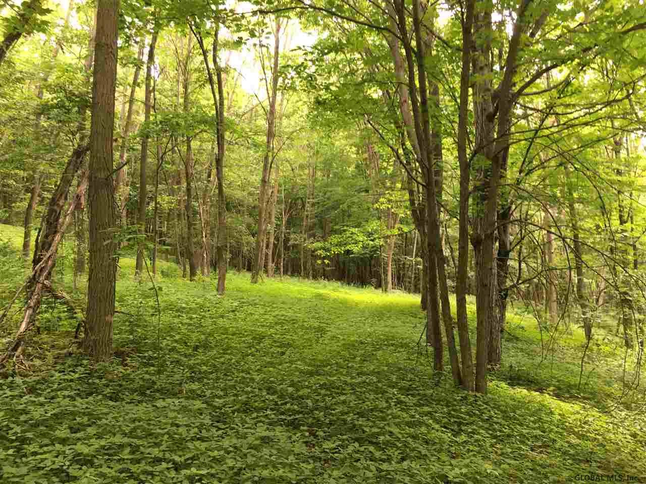 0 Bozenkill Road Delanson, NY 12053 - Photo 2 of 23 Photo 2