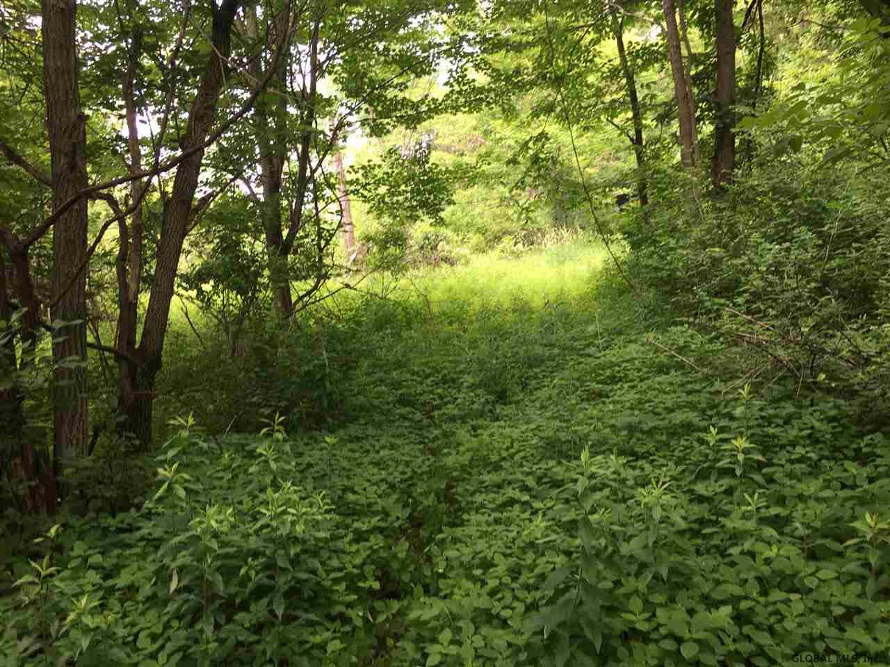 0 Bozenkill Road Delanson, NY 12053 - Photo 22 of 23 Photo 22