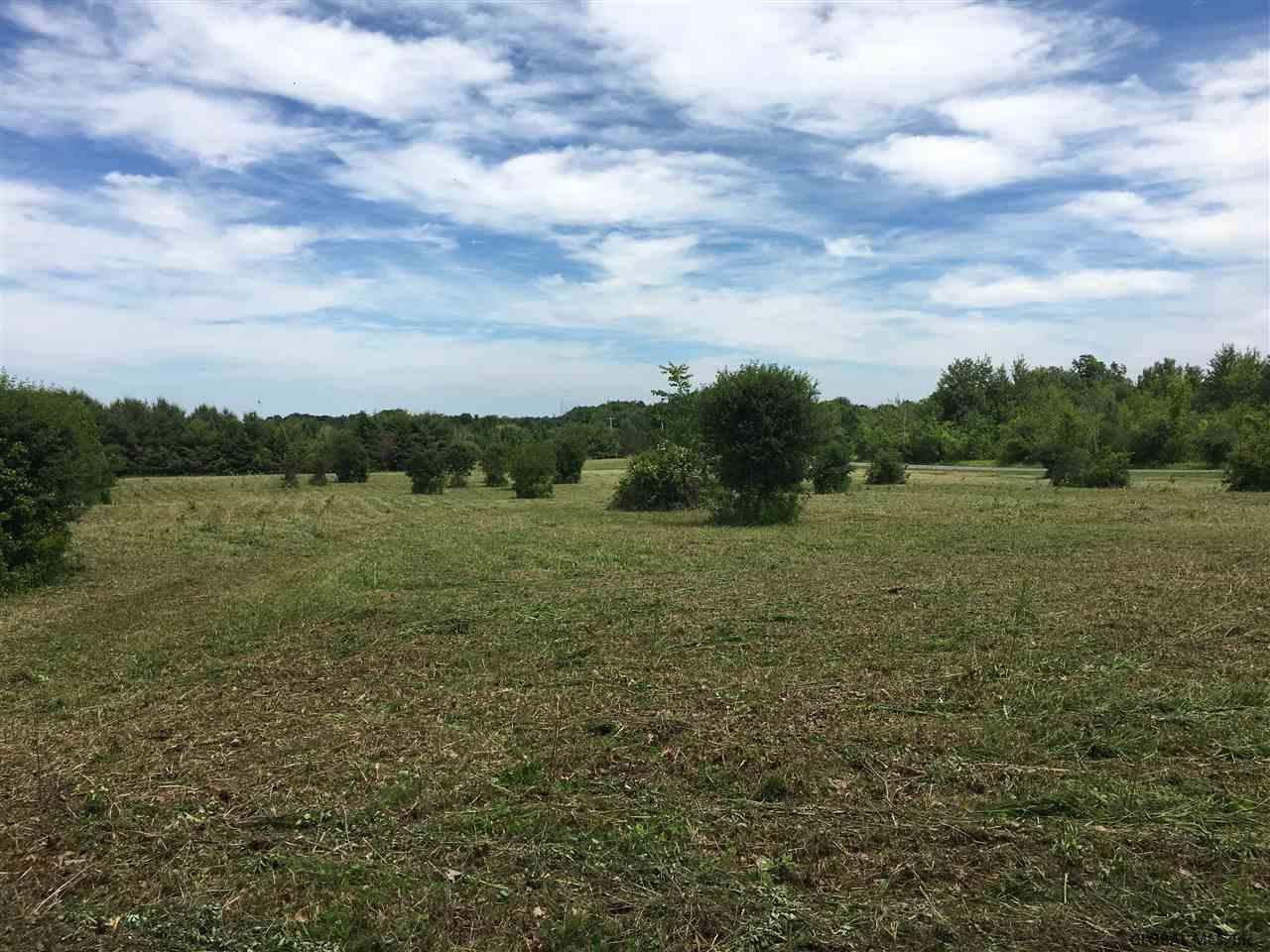 0 Bozenkill Road Delanson, NY 12053 - Photo 8 of 23 Photo 8
