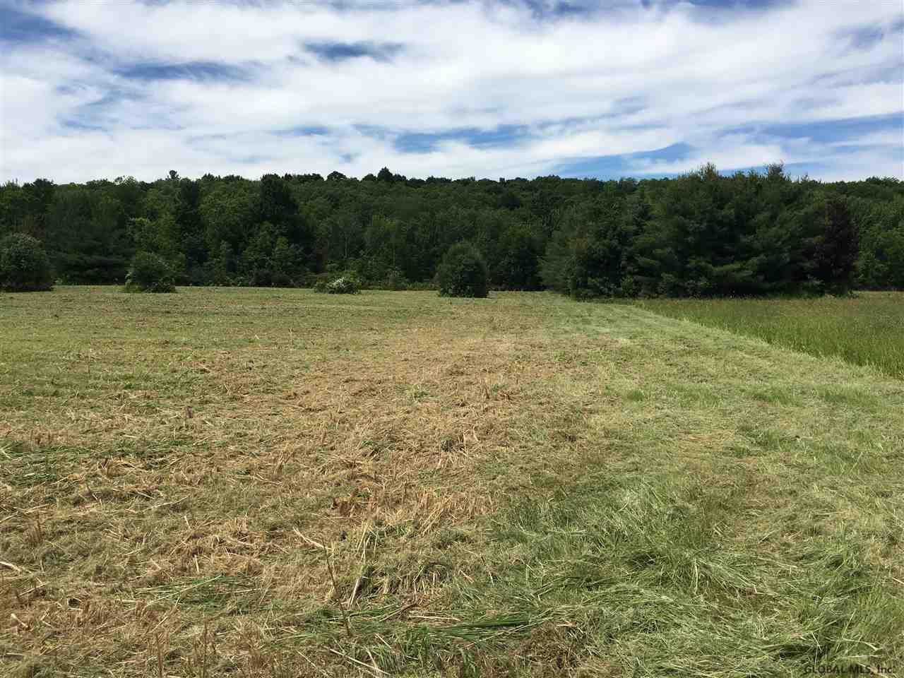 0 Bozenkill Road Delanson, NY 12053 - Photo 10 of 23 Photo 10