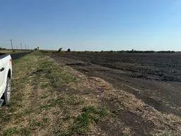 a view of a dry yard with trees