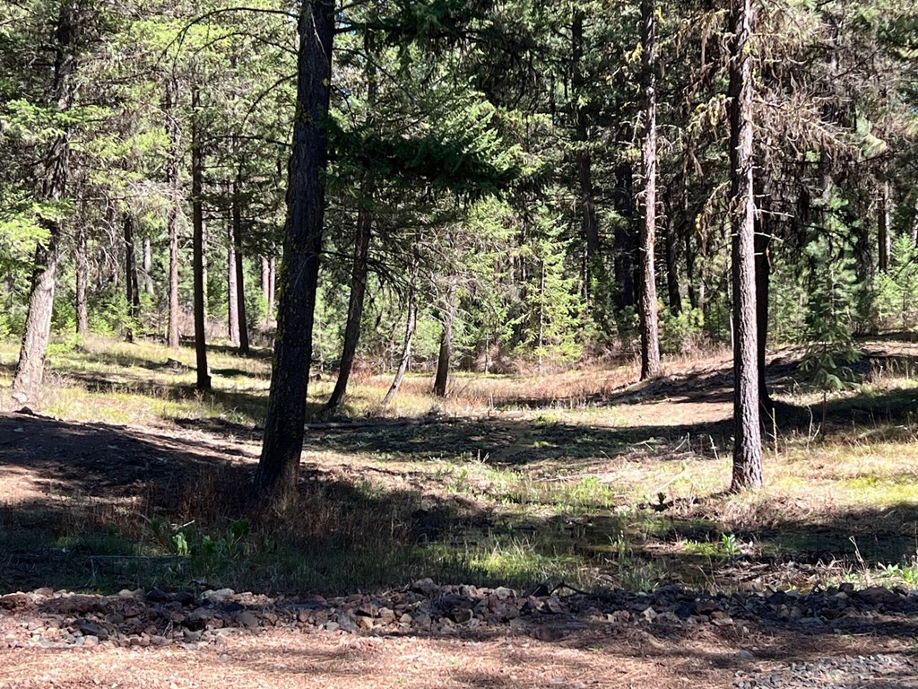 B24-l2 Vardon Road, Unit 2 New Meadows, ID 83654 - Photo 5 of 16