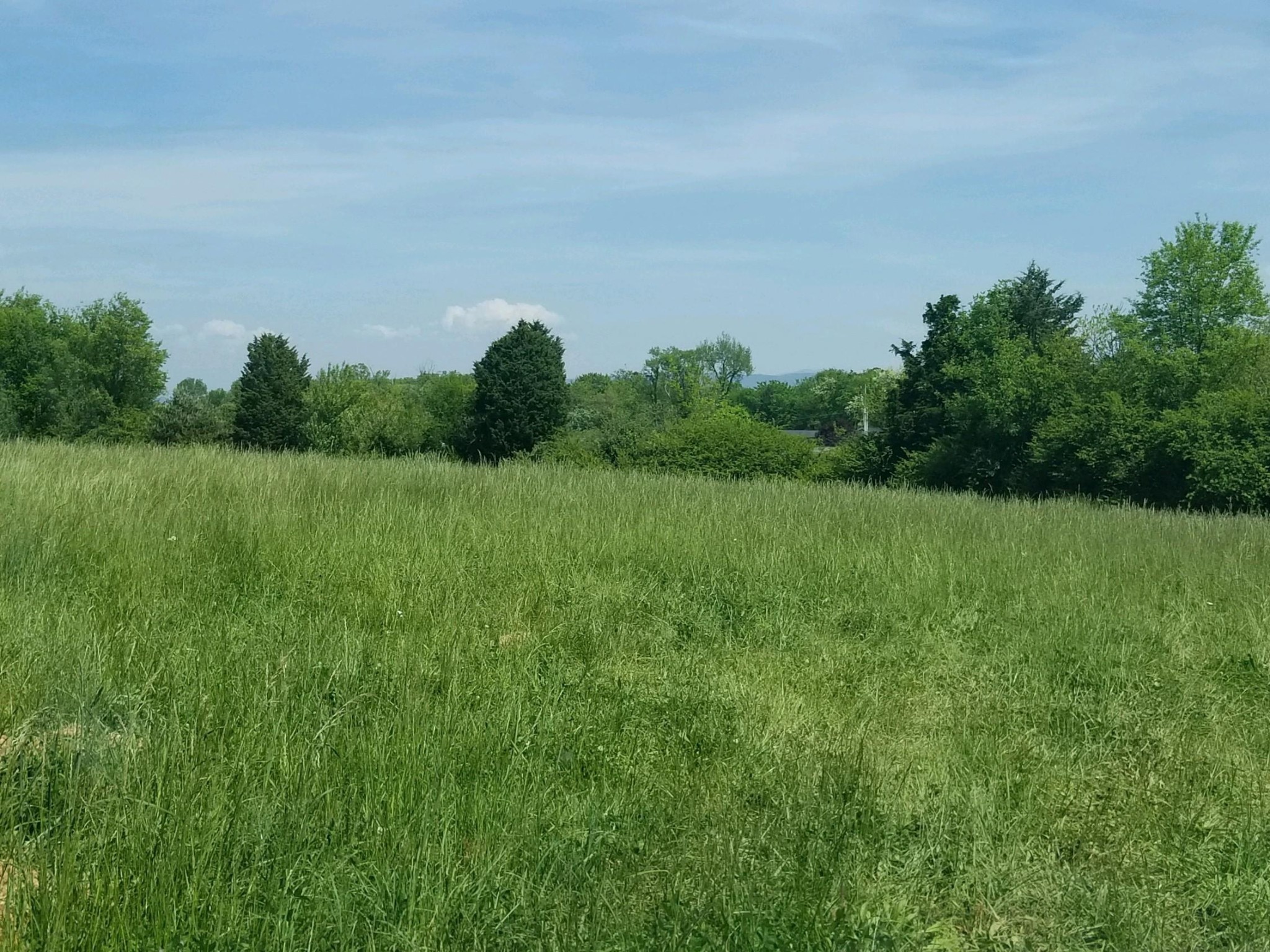 5348 Morganton Road Greenback, TN 37742 - Photo 7 of 14