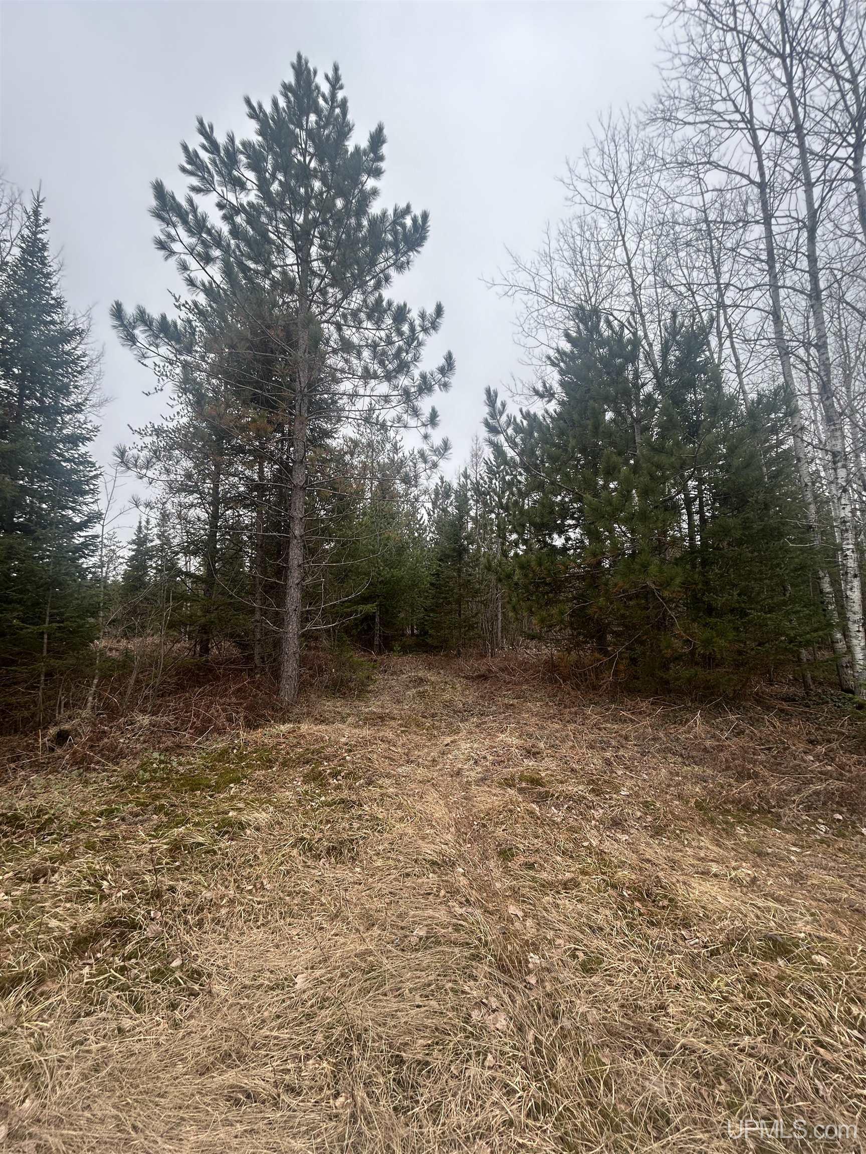 Parcel 3-off Parcel 3-off Johnson Lake Road Gwinn, MI 49841 - Photo 3 of 9
