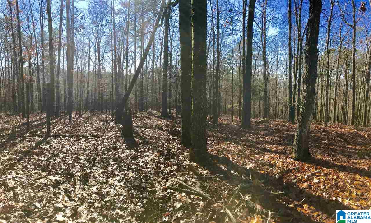 141 Forest Ridge Road Alabaster, AL 35114 - Photo 5 of 30