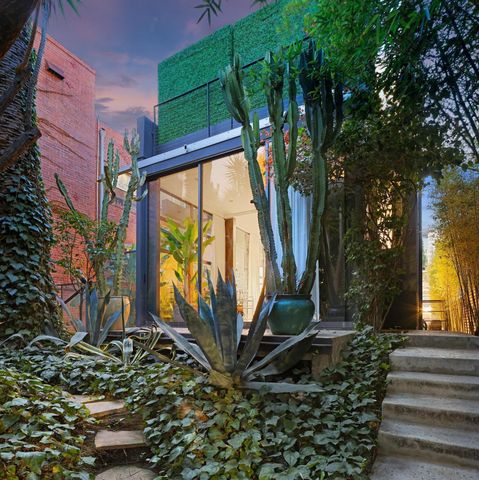 a view of a backyard with plants and a bench