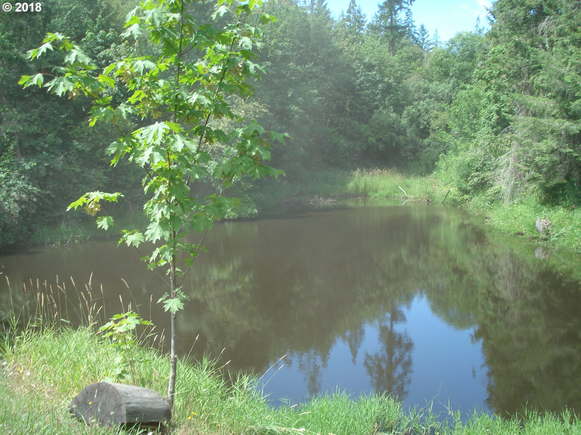 5499 Southwest Hergert Road Cornelius, OR 97113 - Photo 14 of 14 a view of a lake