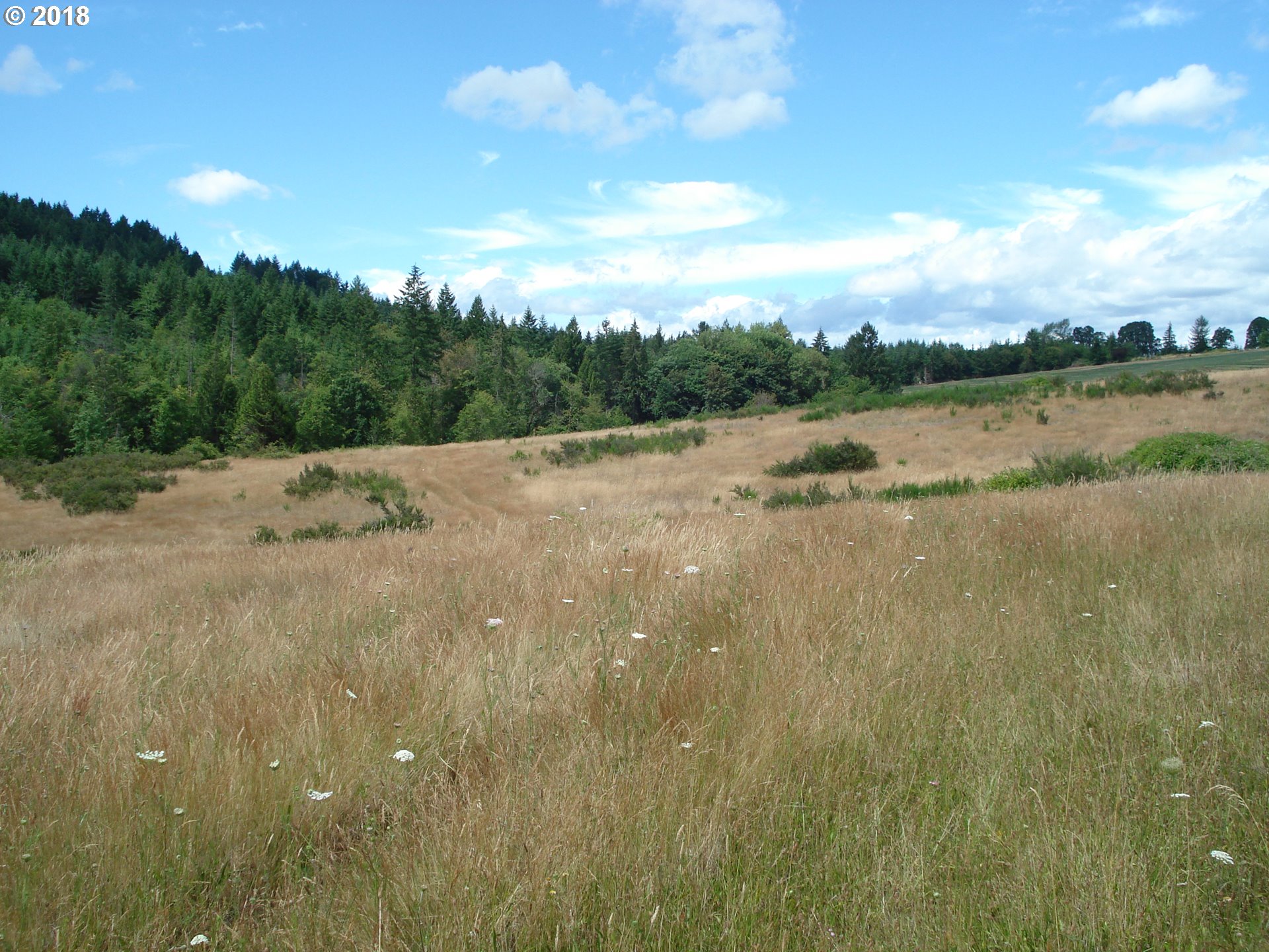 5499 Southwest Hergert Road Cornelius, OR 97113 - Photo 5 of 14 a view of lake view and mountain view