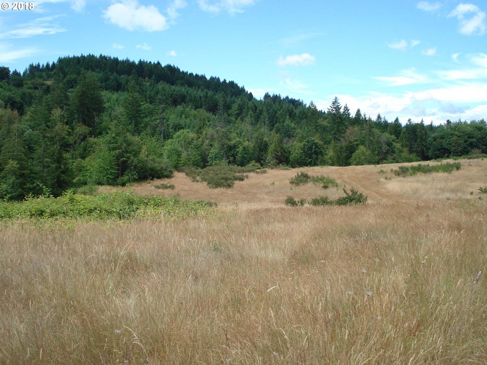 5499 Southwest Hergert Road Cornelius, OR 97113 - Photo 6 of 14 a view of lake view with mountain