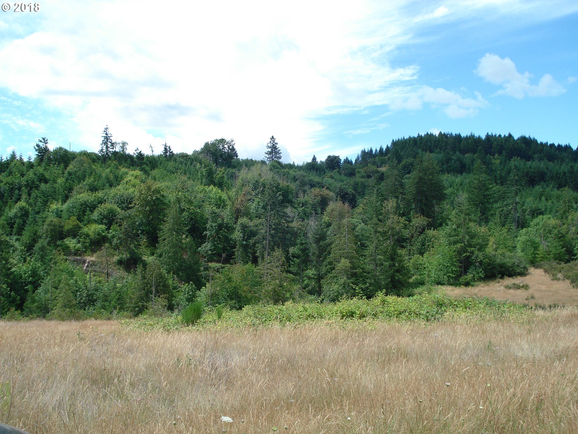 5499 Southwest Hergert Road Cornelius, OR 97113 - Photo 7 of 14 a view of a road with a yard