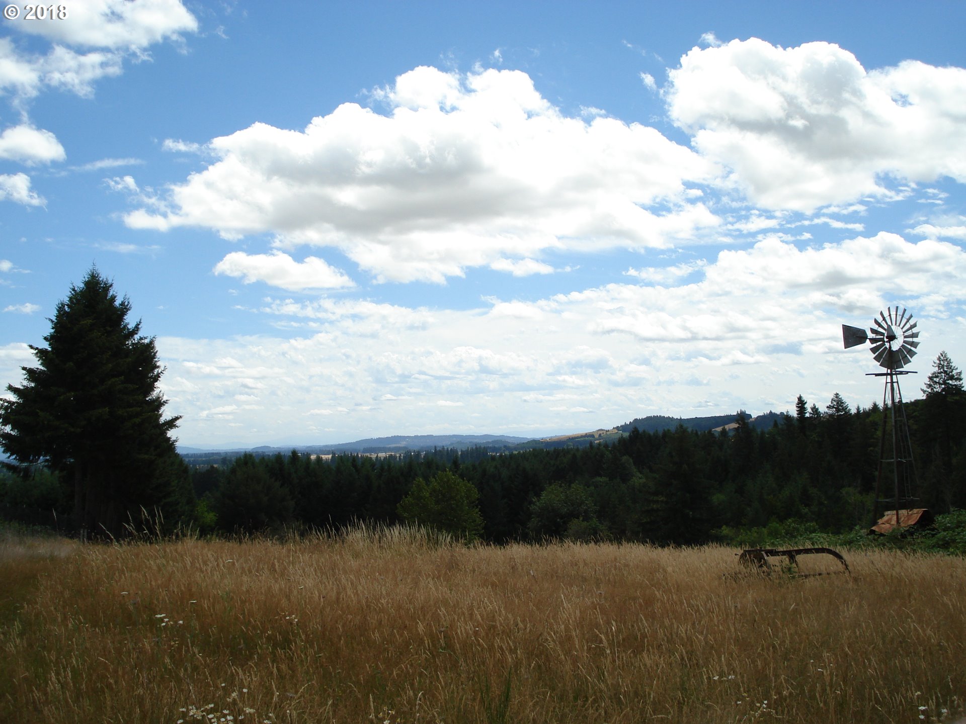5499 Southwest Hergert Road Cornelius, OR 97113 - Photo 9 of 14 a view of mountain with lake view