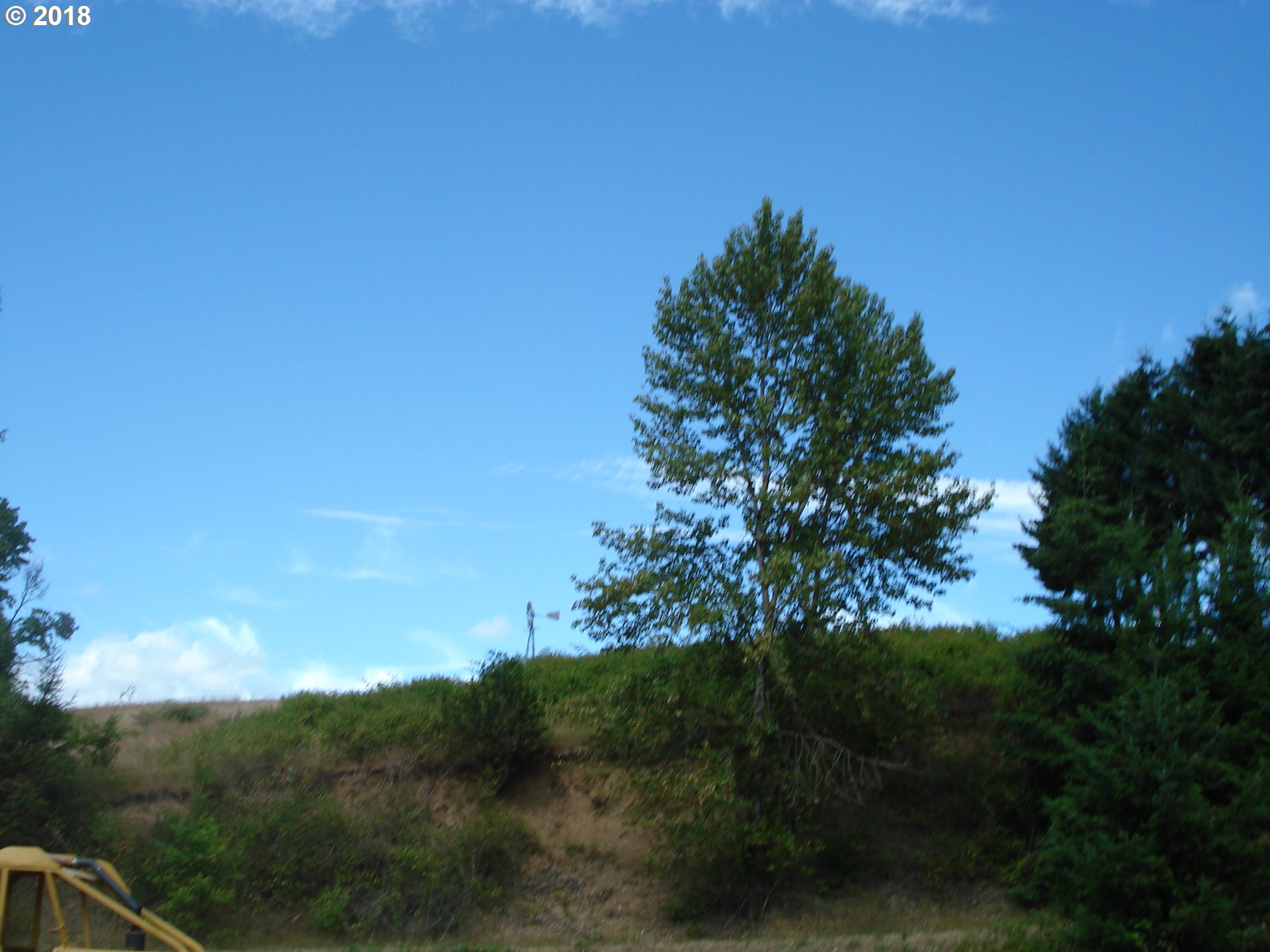5499 Southwest Hergert Road Cornelius, OR 97113 - Photo 10 of 14 a view of a yard with a tree
