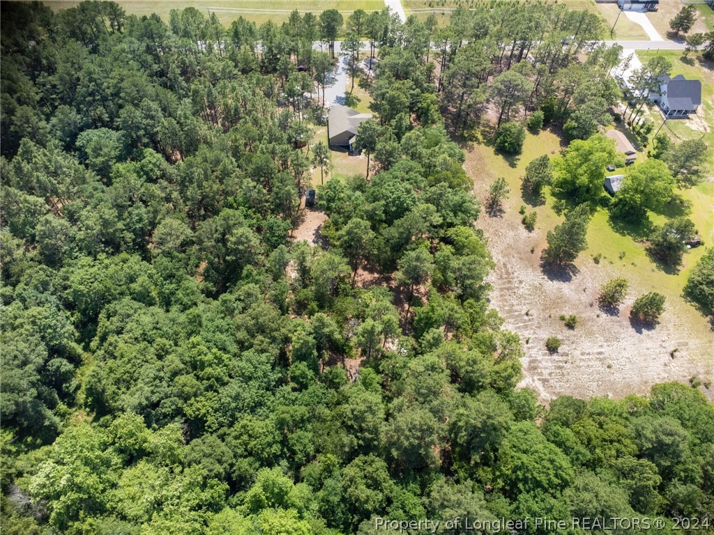 3590 Calloway Road Raeford, NC 28376 - Photo 43 of 44 an aerial view of residential house with space and trees all around