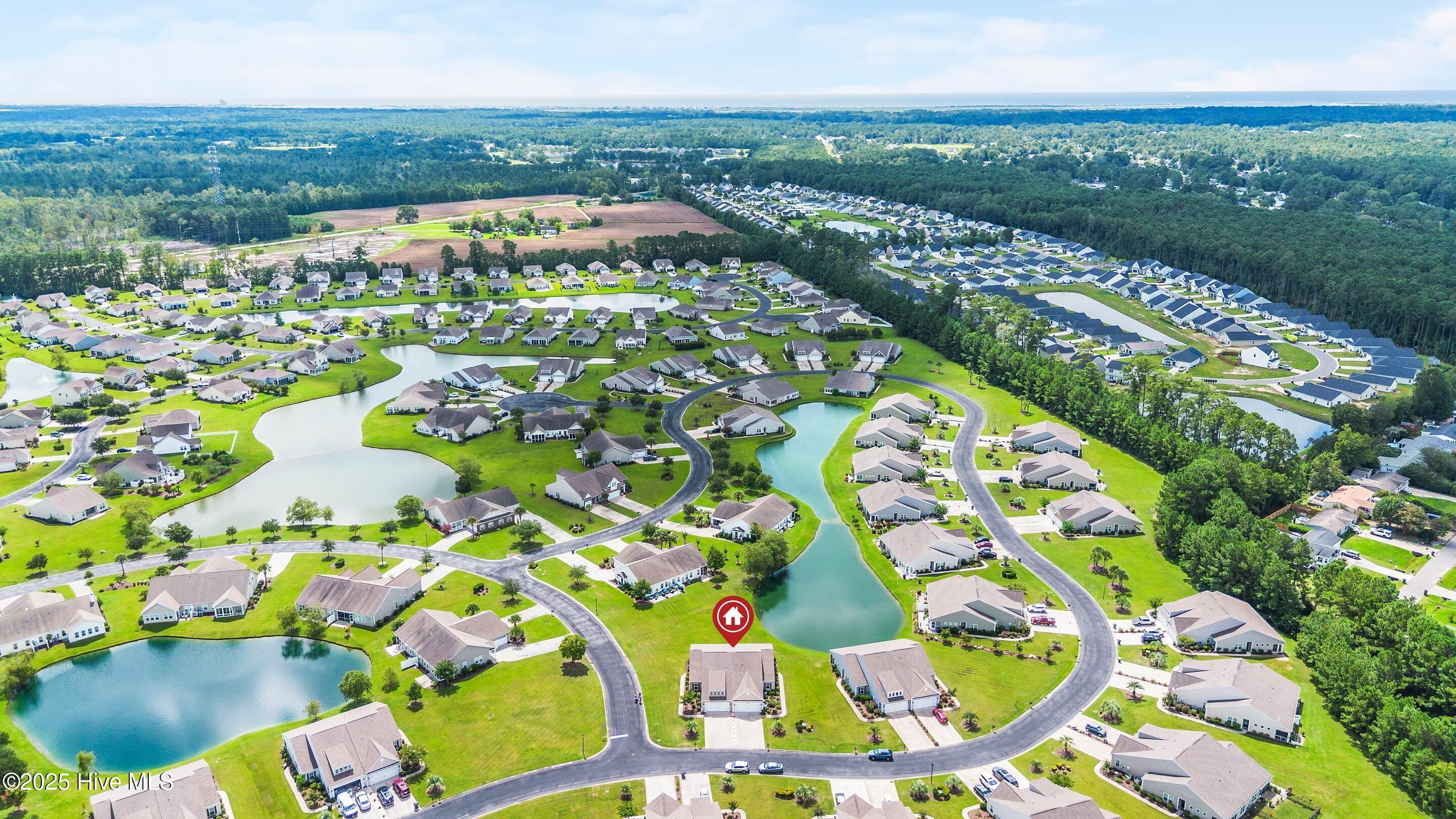 1069 Chadsey Lake Drive Calabash, NC 28467 - Photo 44 of 46 Top 1D