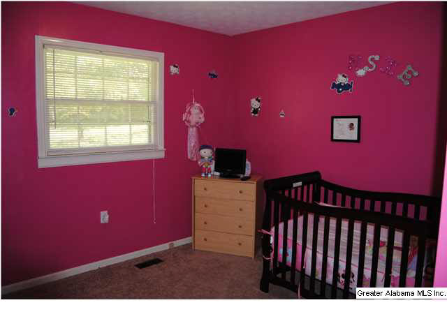 5140 Nisbet Lake Road Jacksonville, AL 36265 - Photo 15 of 26
