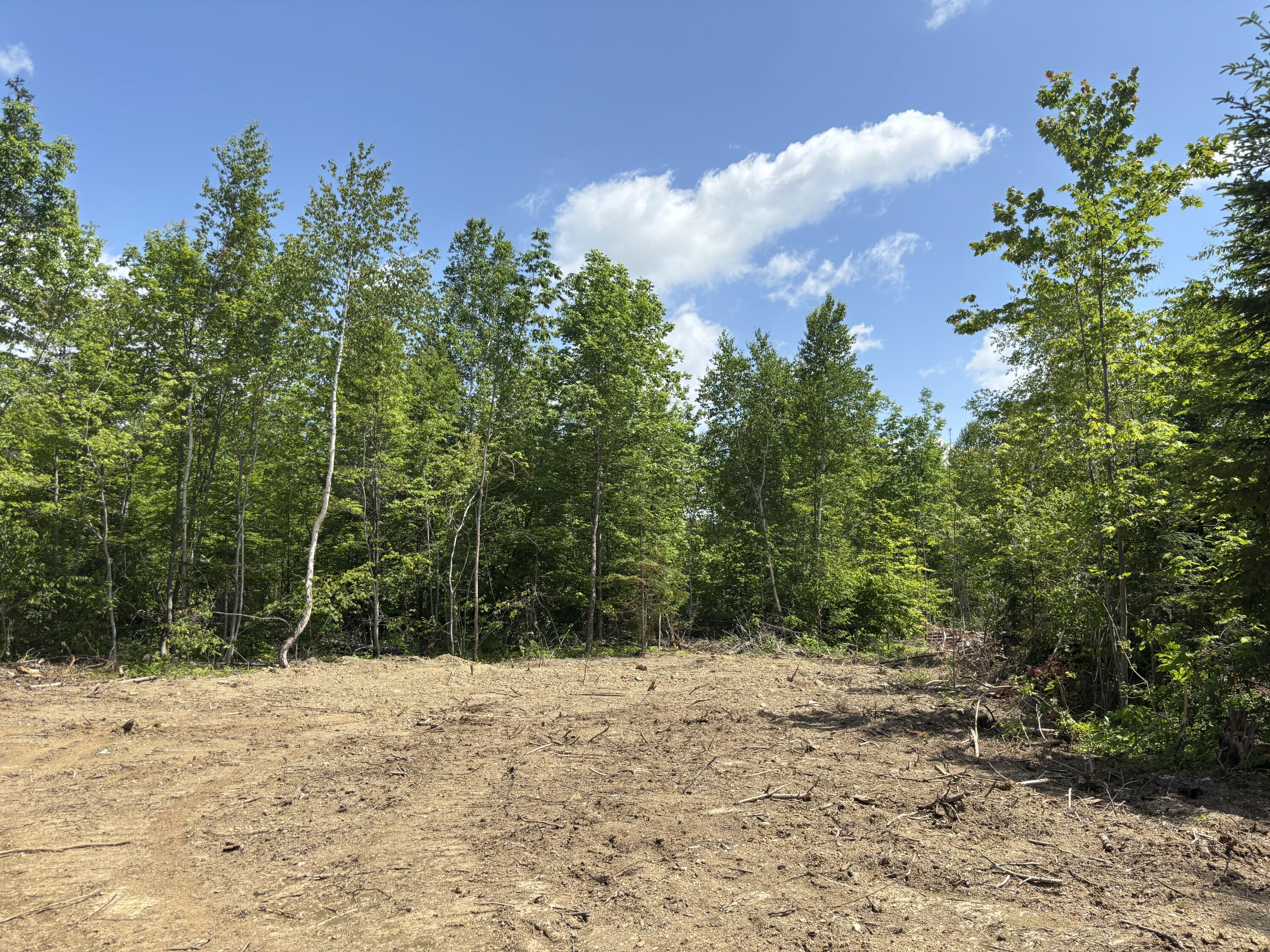 Lot A Mcdonald Road Littleton, ME 04730 - Photo 4 of 8 4