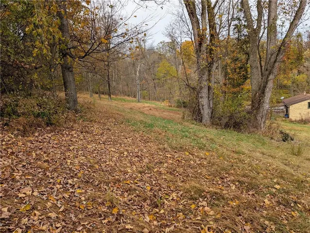 a view of a yard with trees