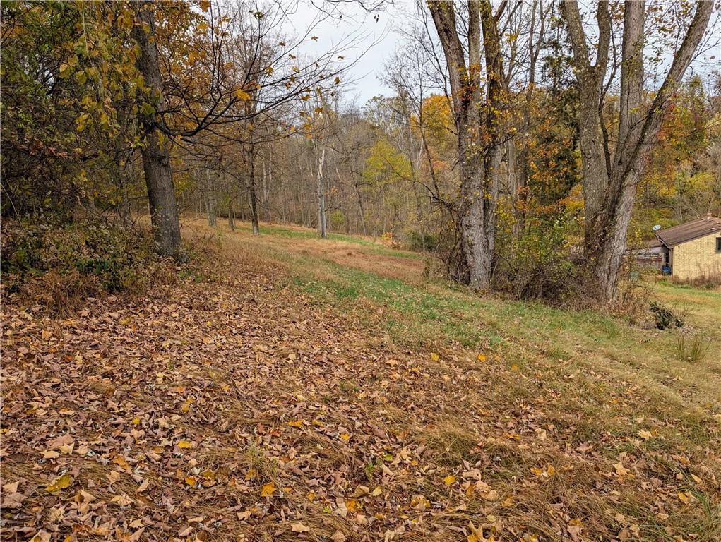 344 McKee Road North Versailles, PA 15137 - Photo 26 of 40 a view of a yard with trees