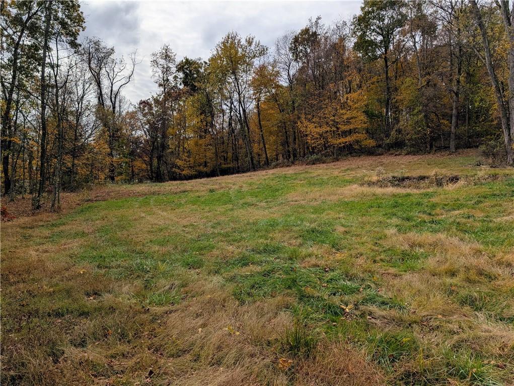 344 McKee Road North Versailles, PA 15137 - Photo 31 of 40 a view of a yard with a tree