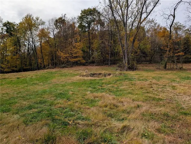a view of a yard with trees