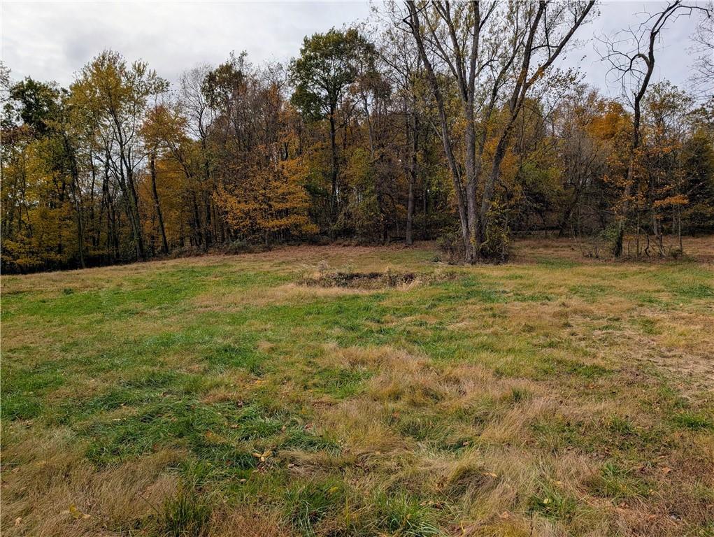 344 McKee Road North Versailles, PA 15137 - Photo 32 of 40 a view of a yard with trees
