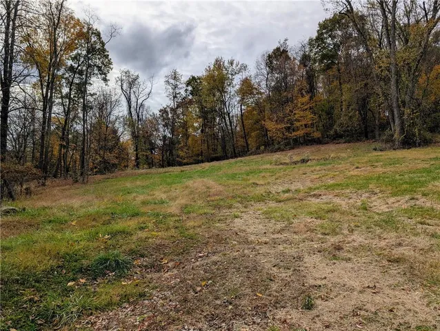 a view of a garden with plants and trees