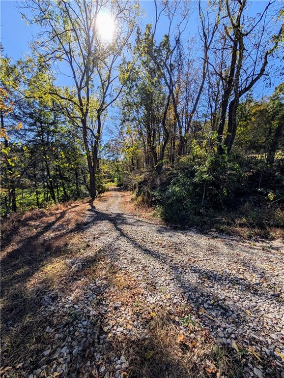 344 McKee Road North Versailles, PA 15137 - Photo 38 of 40 a view of backyard with green space