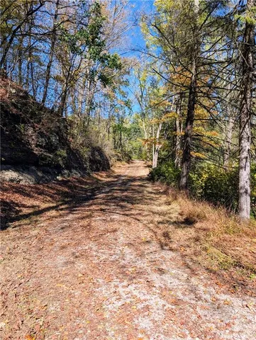 a view of a park with large trees