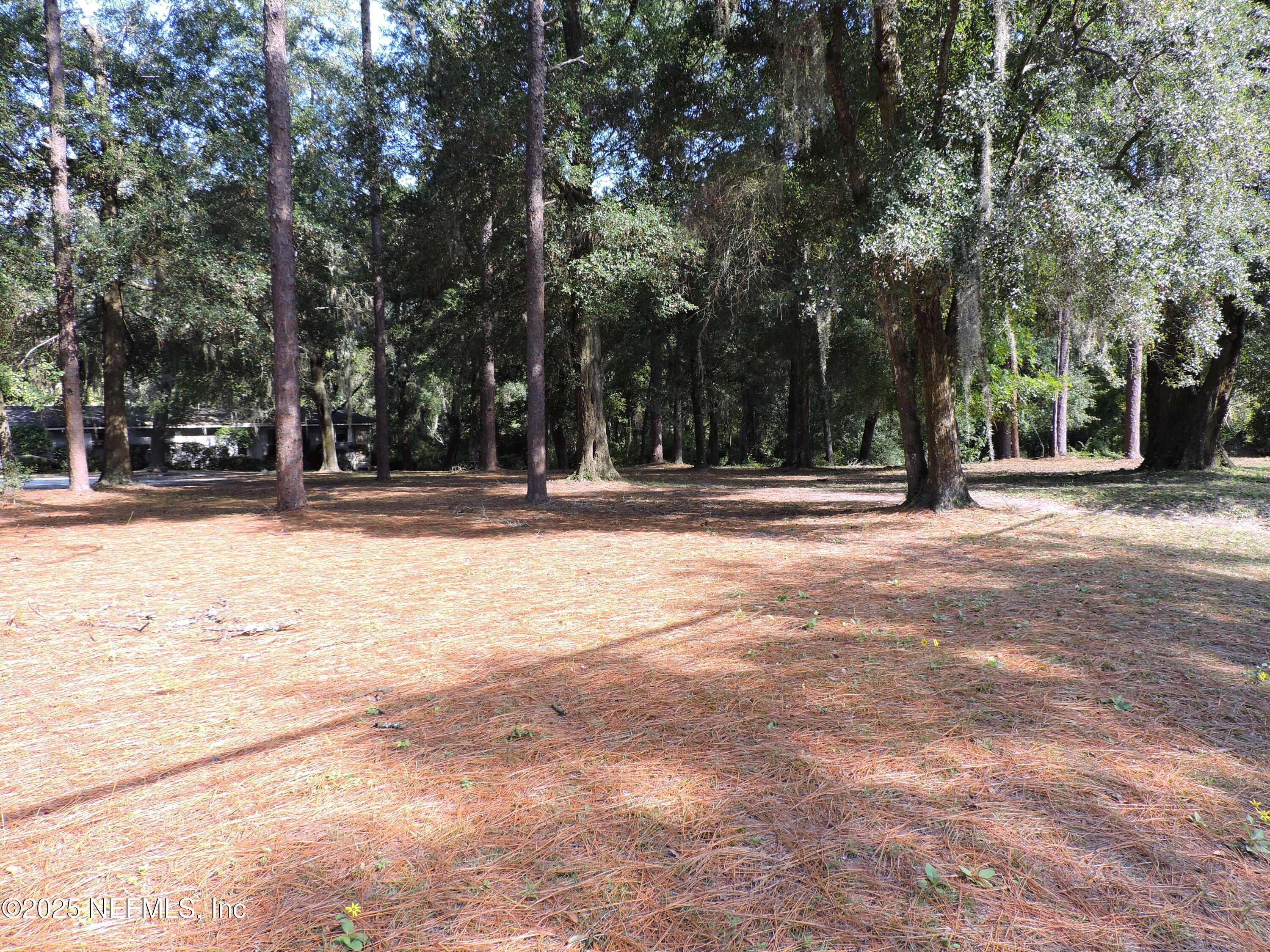 2955 New Berlin Road Jacksonville, FL 32226 - Photo 16 of 35 a view of road with trees
