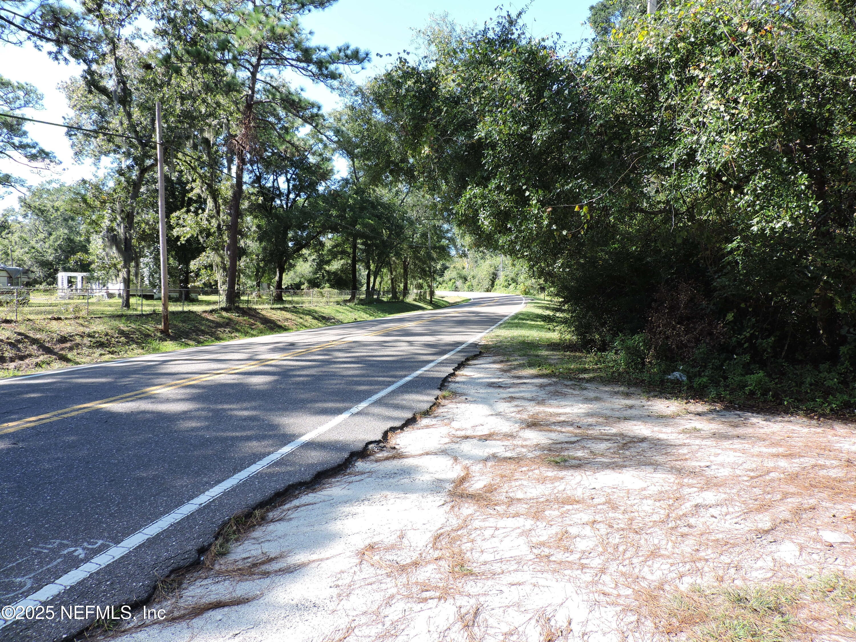 2955 New Berlin Road Jacksonville, FL 32226 - Photo 17 of 35 a view of a yard with plants and trees