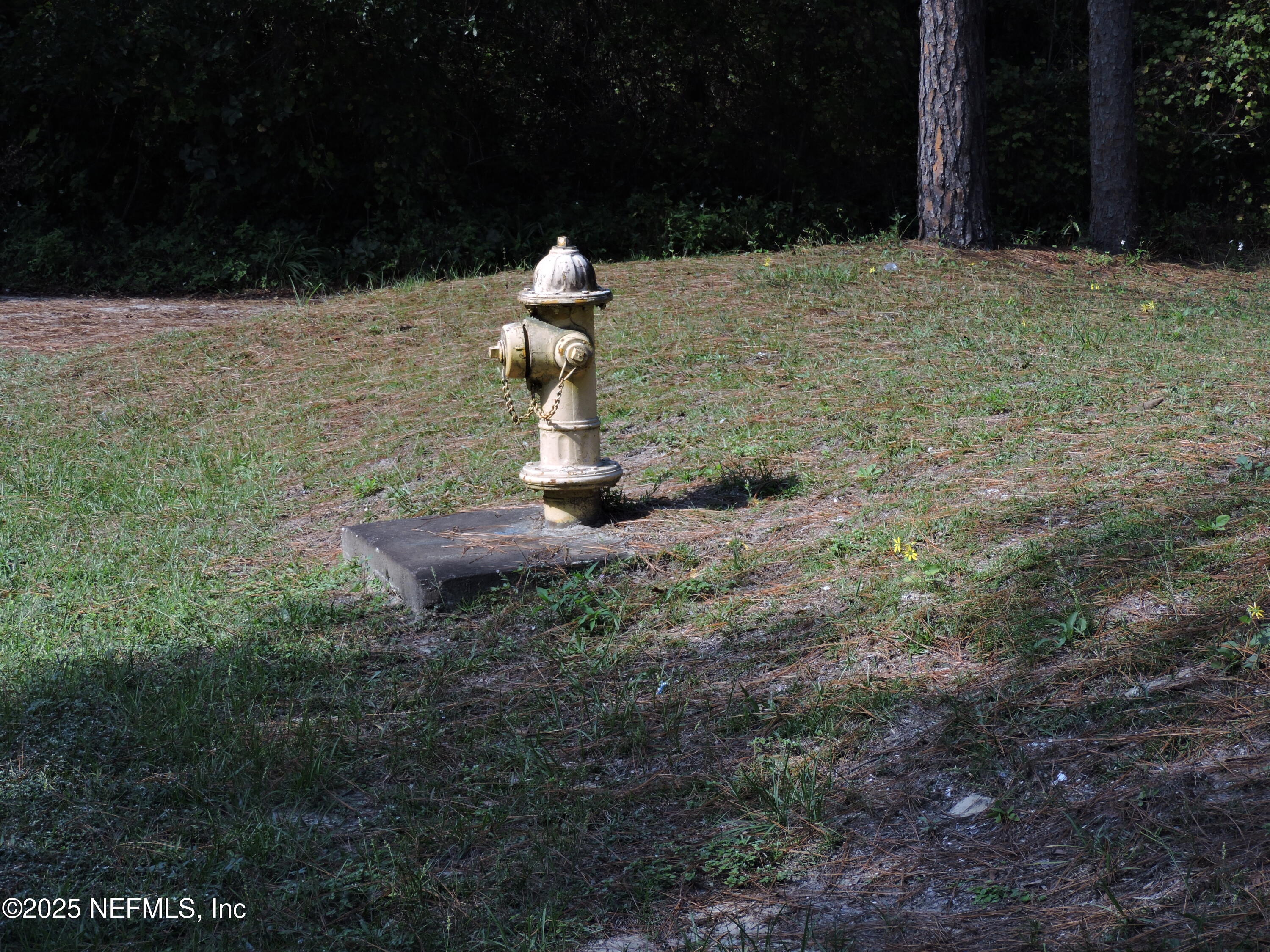 2955 New Berlin Road Jacksonville, FL 32226 - Photo 25 of 35 a view of statue in front of a yard