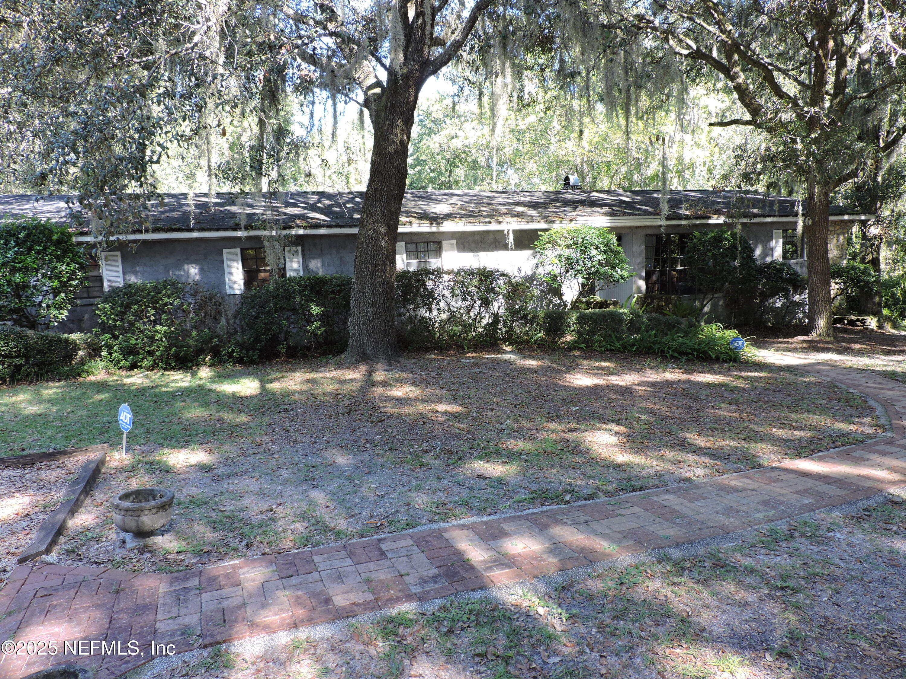 2955 New Berlin Road Jacksonville, FL 32226 - Photo 5 of 35 a view of a yard with plants and a trees