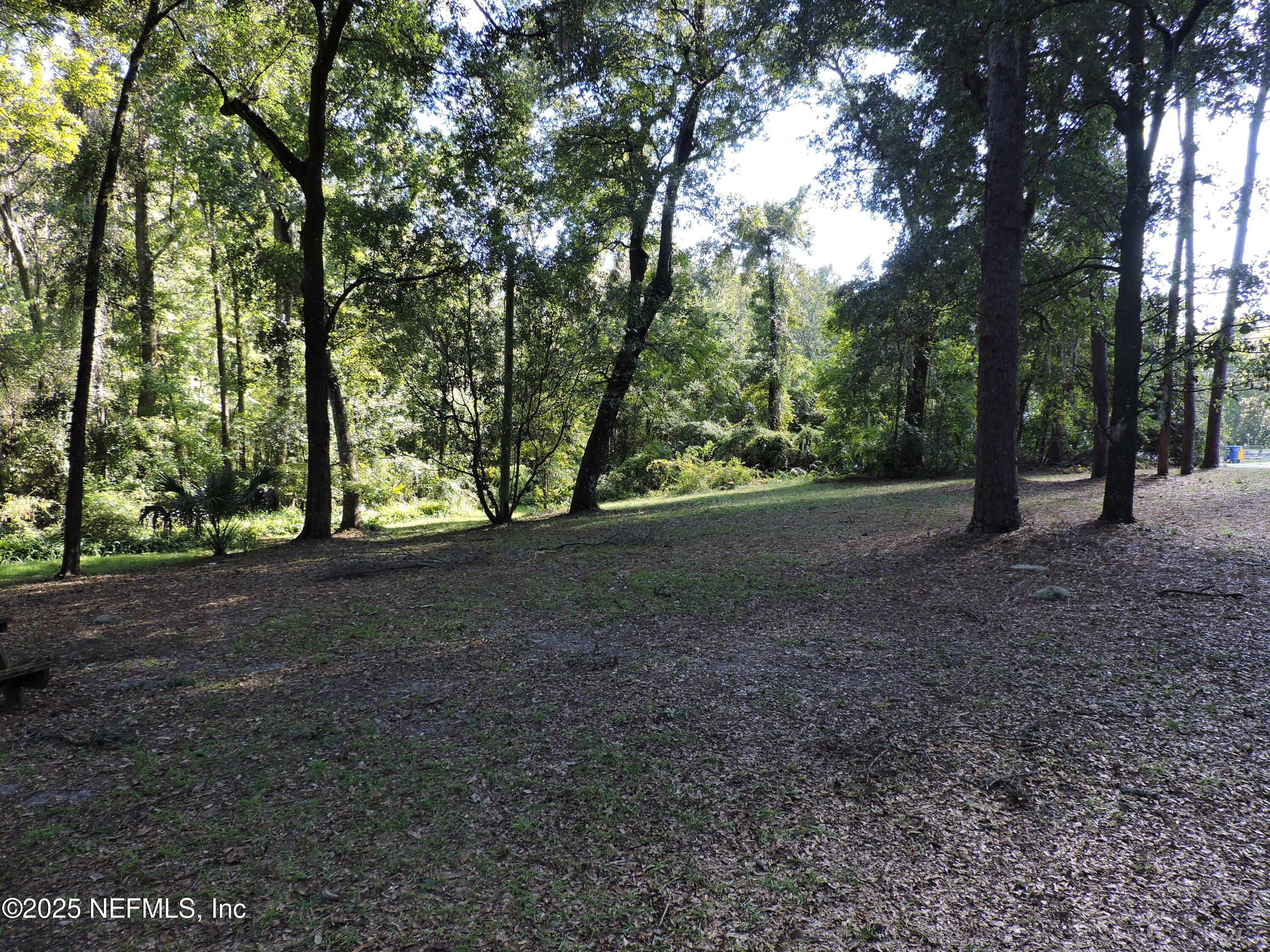 2955 New Berlin Road Jacksonville, FL 32226 - Photo 7 of 35 a view of outdoor space with trees