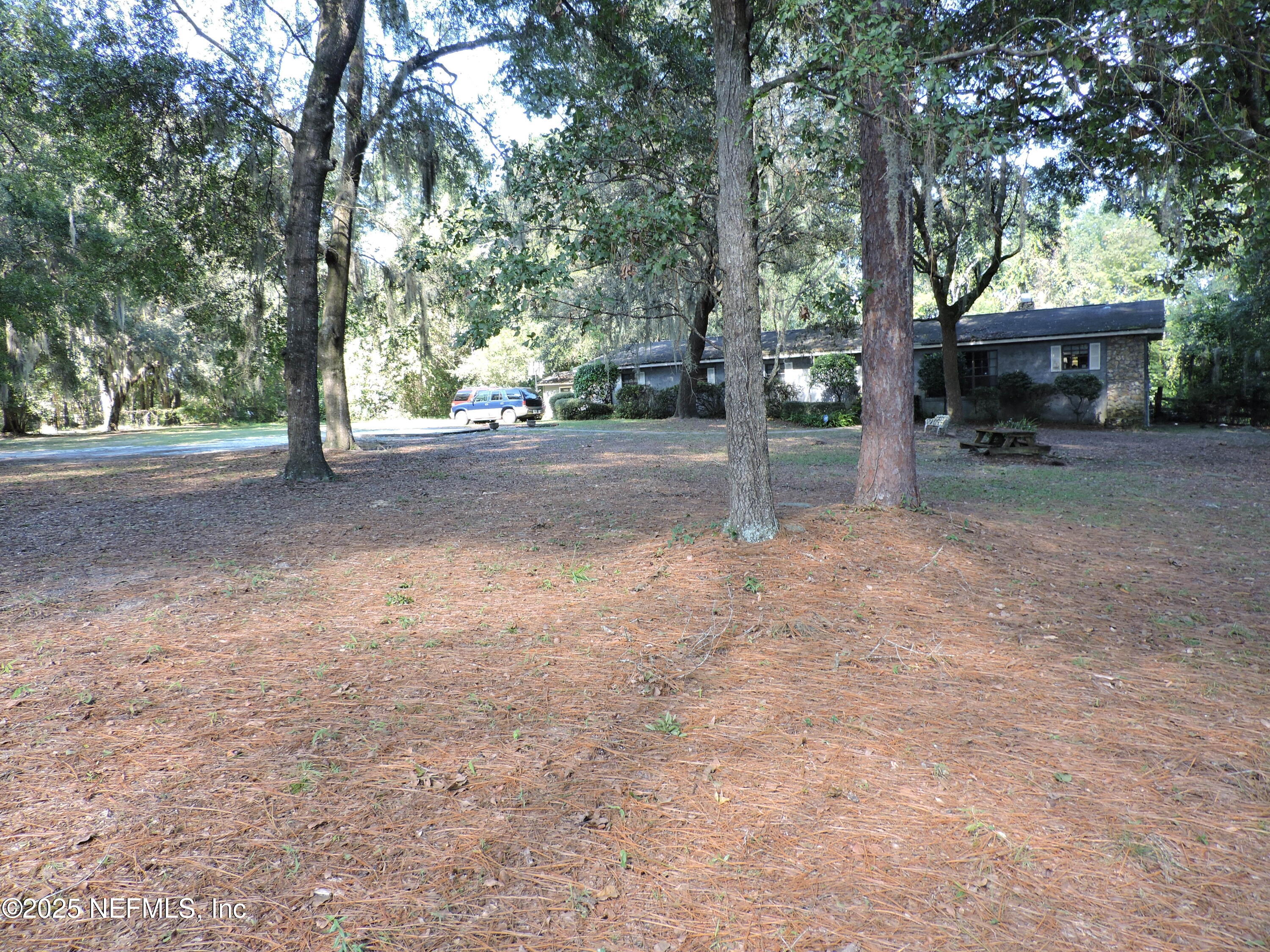2955 New Berlin Road Jacksonville, FL 32226 - Photo 9 of 35 a view of a house with a tree