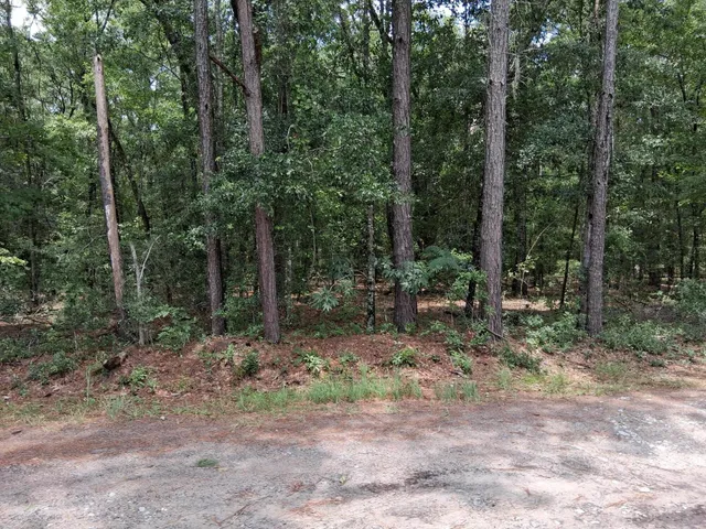 $139,000 | 8070 Williford Road, Hollywood, SC 29449