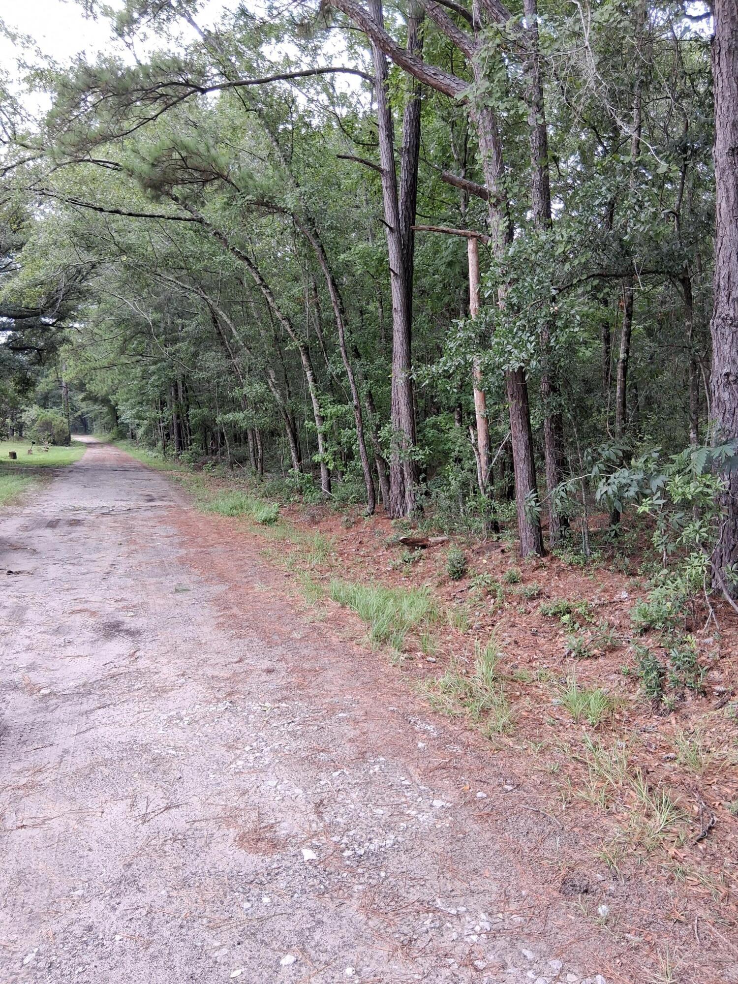 8070 Williford Road Hollywood, SC 29449 - Photo 3 of 4 kevin p3