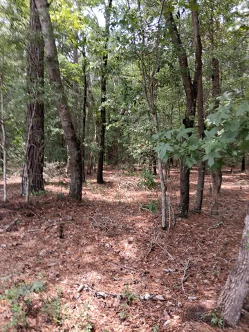 $139,000 | 8070 Williford Road, Hollywood, SC 29449