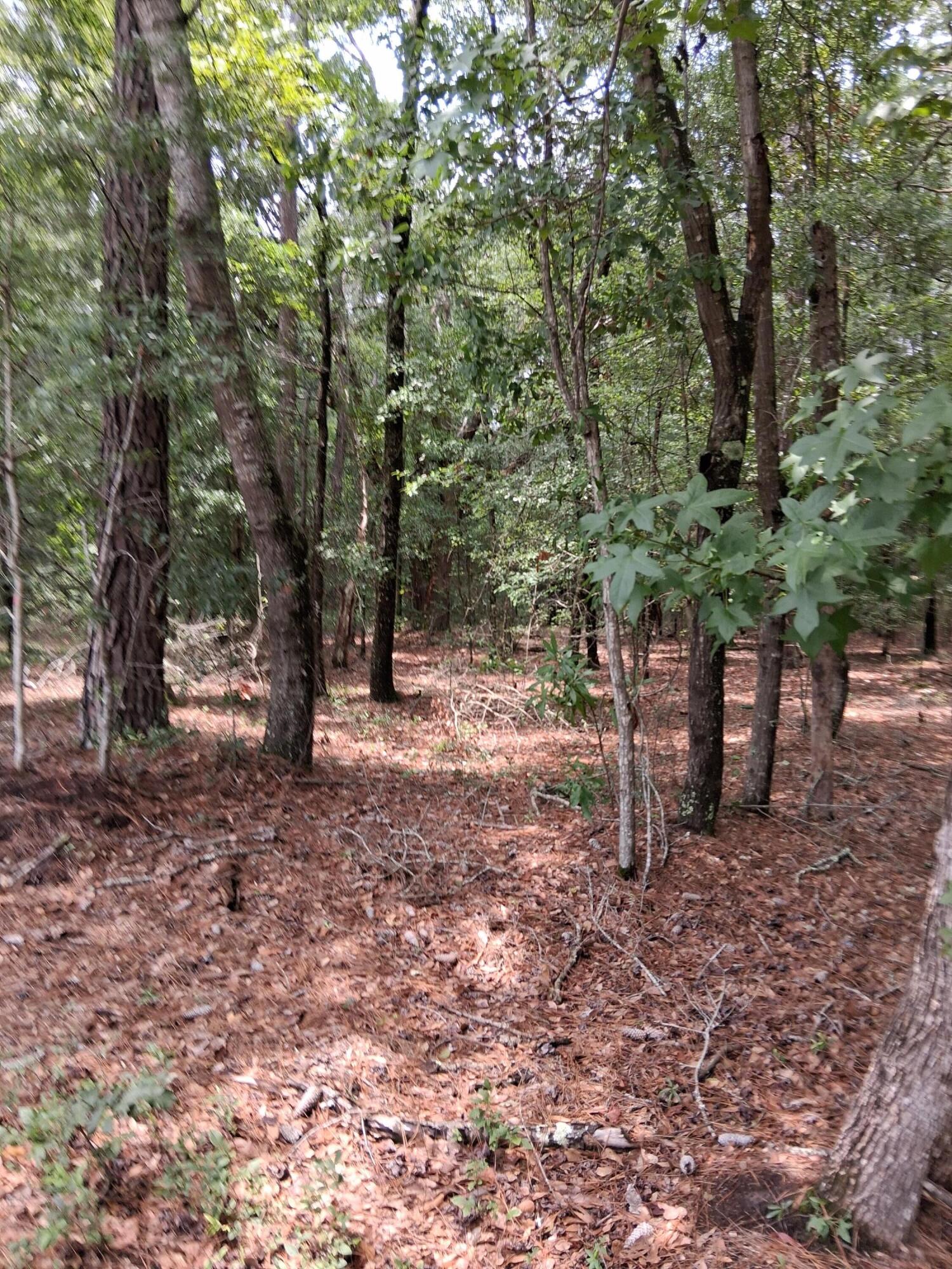 8070 Williford Road Hollywood, SC 29449 - Photo 4 of 4 kevin p4