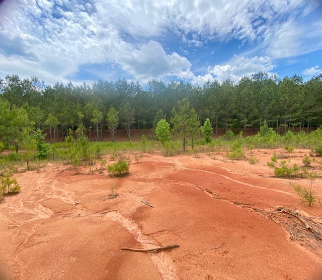0 Pete Johnson Road Tignall, GA 30668 - Photo 23 of 43 Start for a Pond or
Duck Impound area