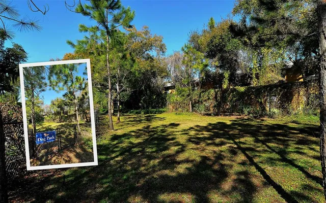 a view of a tree with a yard