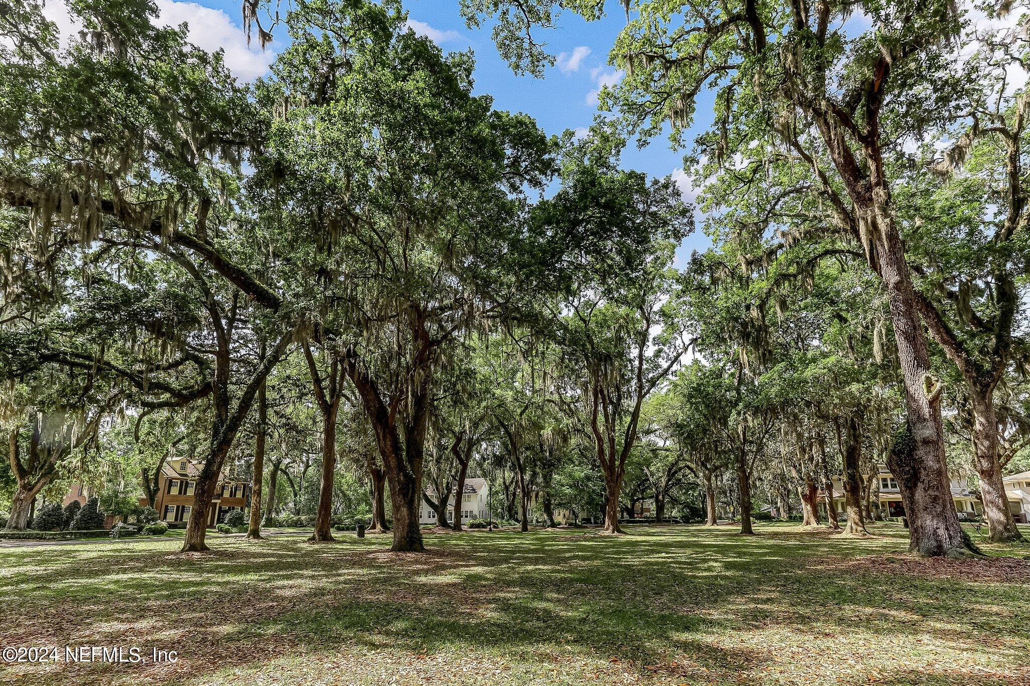 4692 Nottingham Road Jacksonville, FL 32210 - Photo 62 of 63 Bettes Park