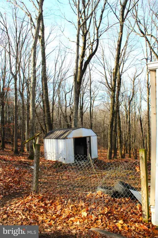 a front view of a house with a yard and tree