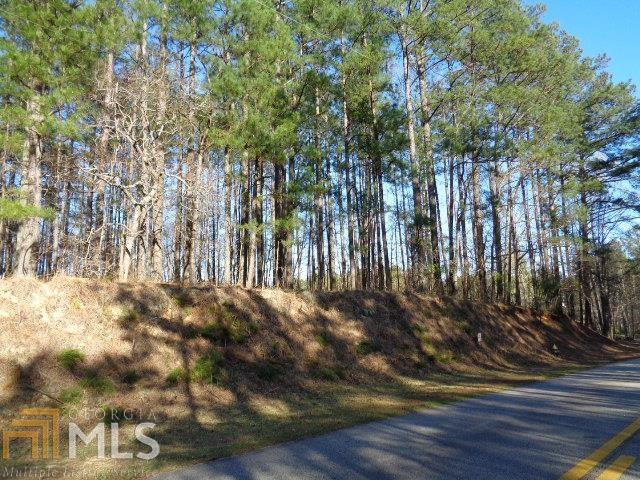 0 Rivertown Road, Unit 11 Fairburn, GA 30213 - Photo 1 of 1