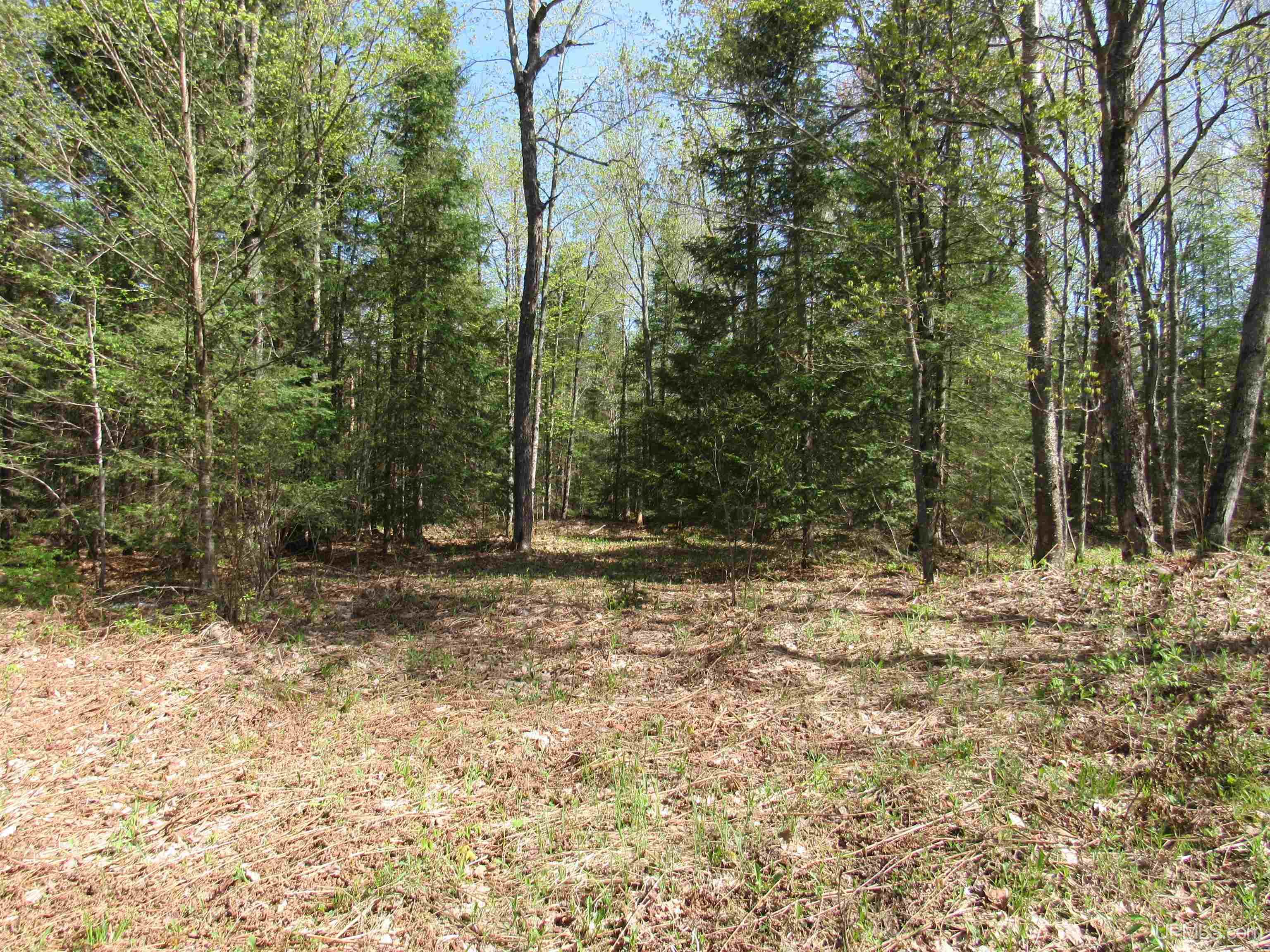 Tbd Us 141 Road, Unit LUKES ROAD Amasa, MI 49903 - Photo 6 of 22
