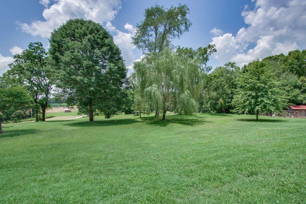596 Goad Ridge Lane Pleasant Shade, TN 37145 - Photo 28 of 30 a backyard of a house with lots of green space