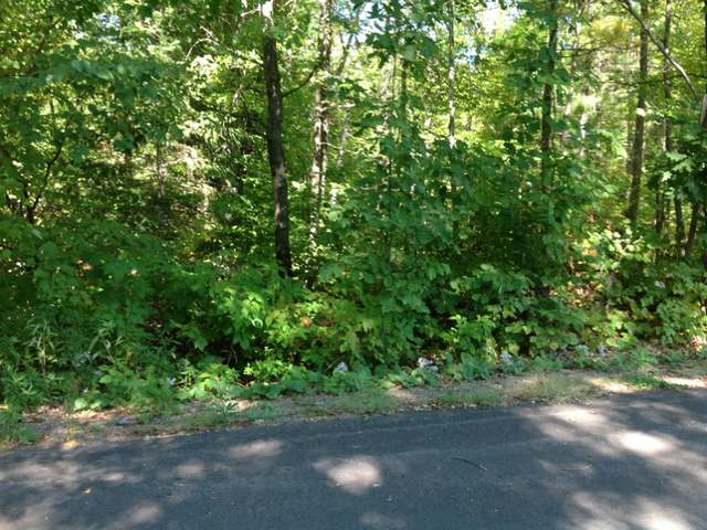 4362 Riopel Road Rhinelander, WI 54501 - Photo 16 of 20 Gallery Image 16